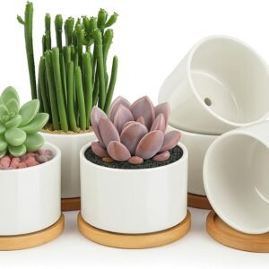 Ceramic Succulent Pots,4 Inch Plant Pots,Succulent Planters with Drainage Hole & Bamboo Tray for Indoor Plants,White Small Flower Planters for Home,Office,Desk(6 Pack)