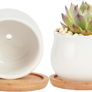 2 Pack Succulent Pots, 2.5 Inch Mini Ceramic Pots for Flower or Cactus Plants with Drainage Hole,Plants Not Included (White)