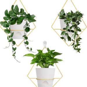 3 Sets Wall Planters for Indoor Plants Geometric Hanging Planters for Indoor Plants - Self-Watering Flower Pots with Black Metal Holder, Mounted Succulent Planter, 5" Black Plant Pot