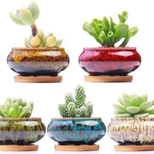 Cute Ceramic Succulent Garden Pots, Planter with Drainage and Attached Saucer, Set of 5 -Plants Not Included (Burner)